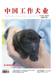 <b style='color:red'>中国</b>工作犬<b style='color:red'>业</b>