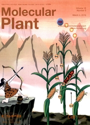 分子植物：英文版