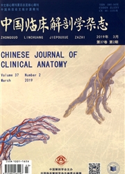 中国临床解剖学<b style='color:red'>杂志</b>