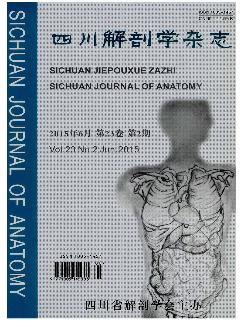 四川解剖学杂志